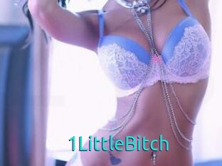 1LittleBitch