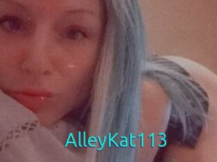 AlleyKat113