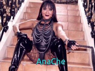 AnaChe