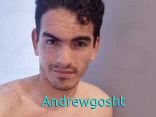 Andrewgosht