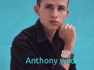 Anthony_wild