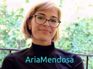 AriaMendosa
