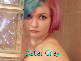 Aster_Grey