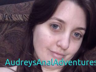 AudreysAnalAdventures