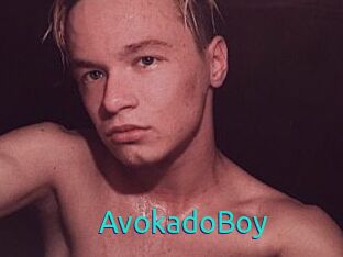 AvokadoBoy