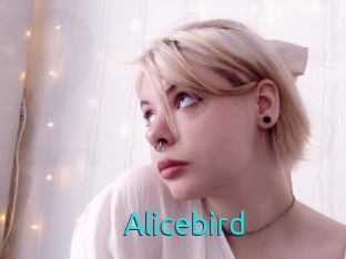 Alicebird