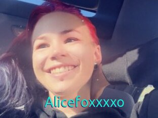 Alicefoxxxxo