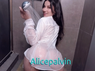 Alicepalvin