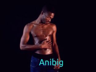Anibig