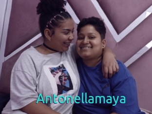 Antonellamaya