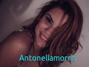 Antonellamorris