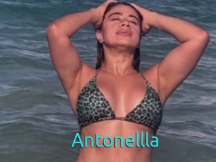 Antonellla