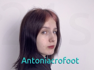 Antoniacrofoot