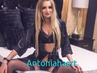 Antoniahaart