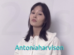 Antoniaharvison