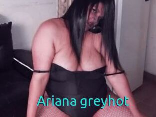 Ariana_greyhot