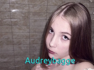 Audreybagge