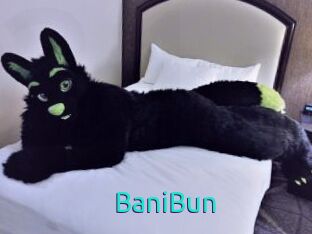 BaniBun