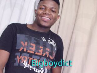 Bigboydict