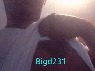Bigd231