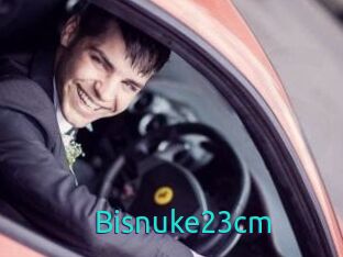 Bisnuke23cm