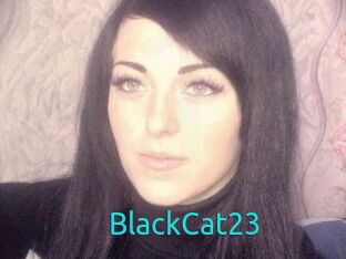 BlackCat23