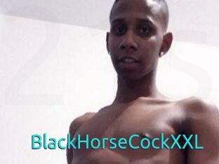 BlackHorseCockXXL