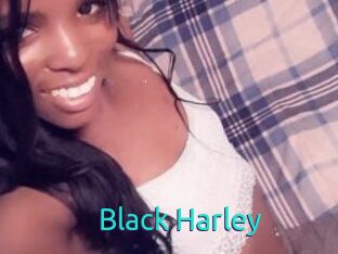 Black_Harley