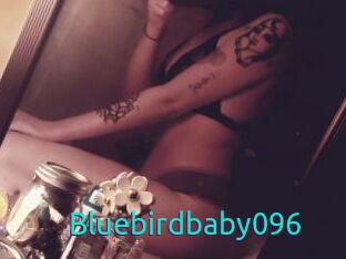 Bluebirdbaby096
