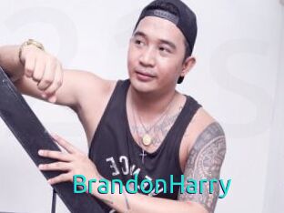 BrandonHarry