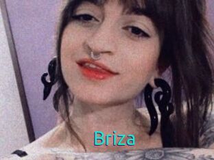 Briza