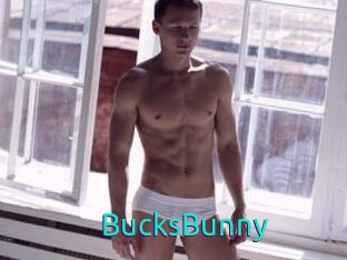 BucksBunny