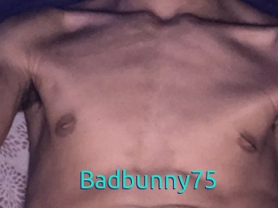 Badbunny75