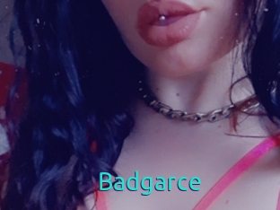 Badgarce