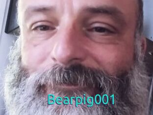 Bearpig001