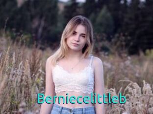 Berniecelittleb