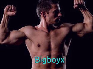 Bigboyx