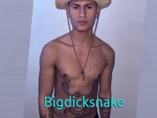 Bigdicksnake