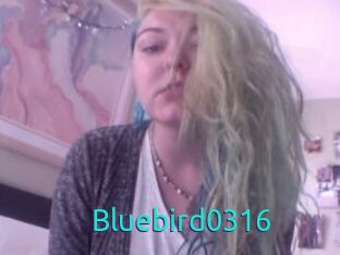Bluebird0316