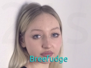 Breefudge