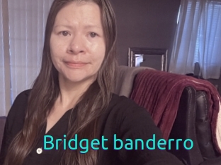 Bridget_banderro