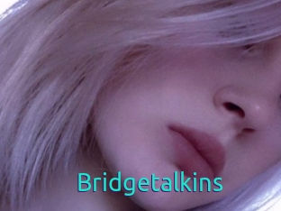 Bridgetalkins
