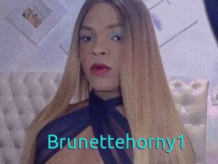 Brunettehorny1