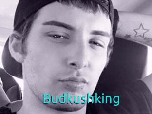 Budkushking