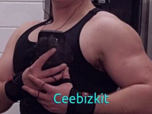 Ceebizkit