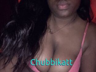 Chubbikatt