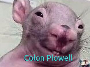 Colon_Plowell