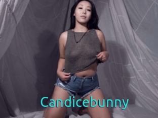 Candicebunny