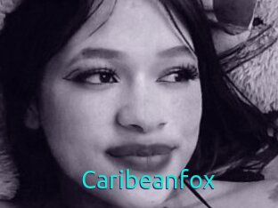Caribeanfox