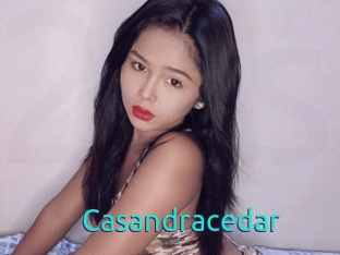 Casandracedar